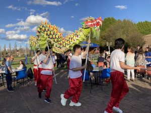 International Festival - Dragon dance 2022 v2