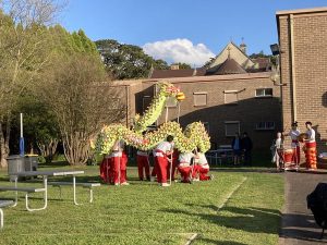 International Festival - Dragon dance 2022